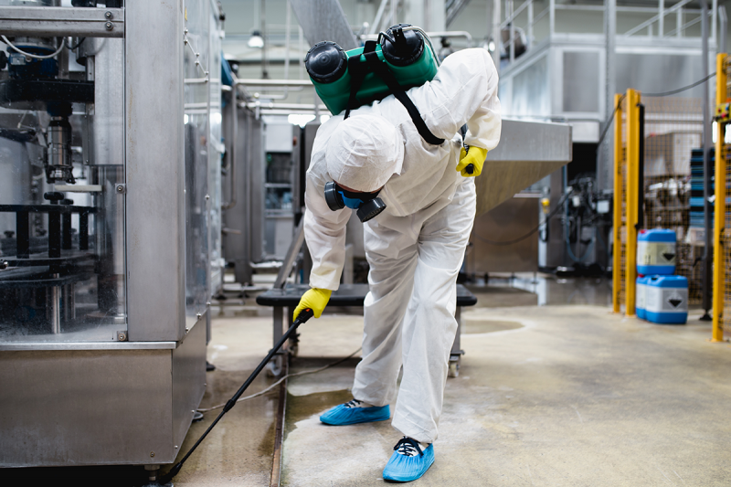 10 วิธีกำจัดปลวกจอมแทะในบ้านให้สิ้นซาก